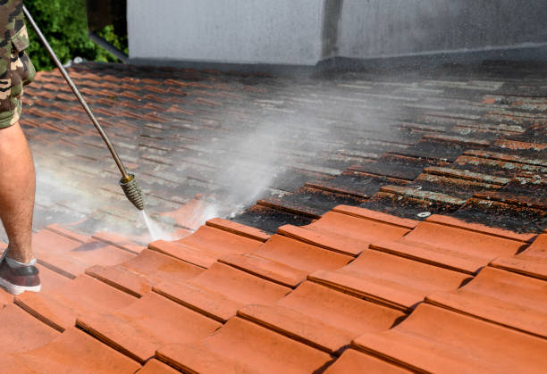 Best Roof Pressure Washing  in Rowlett, TX