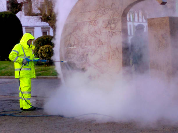 Best Roof Power Washing Services  in Rowlett, TX