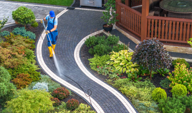 Best Roof Power Washing Services  in Rowlett, TX